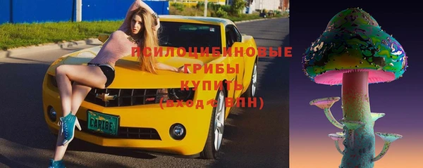 СК Горно-Алтайск