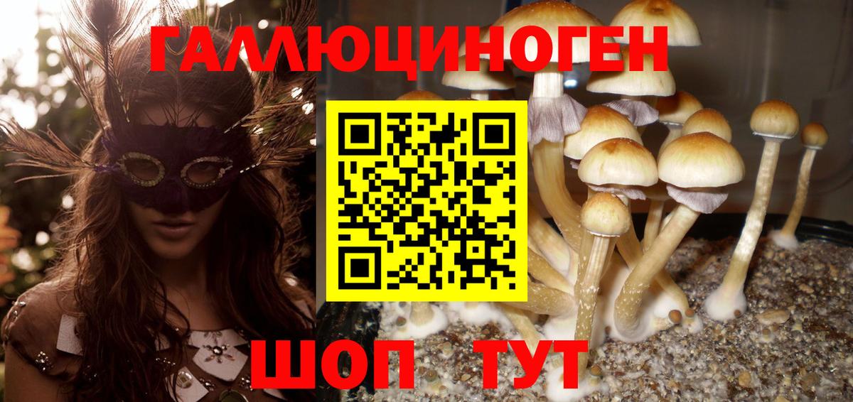 Галлюциногенные грибы Cubensis  хочу наркоту  Калуга  Вход с VPN 