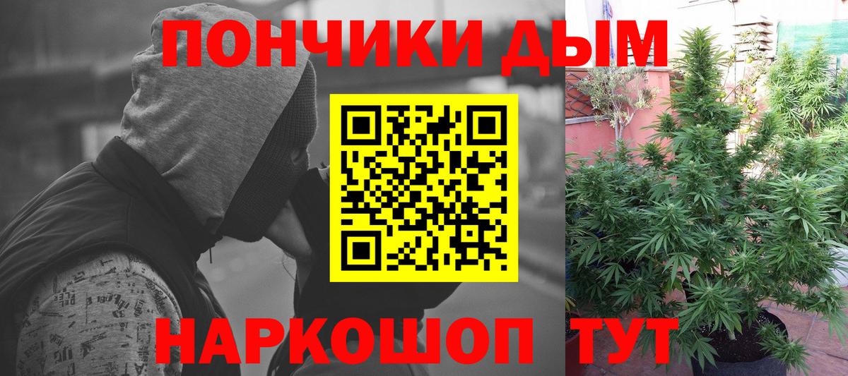 Шишки марихуана сатива Калуга